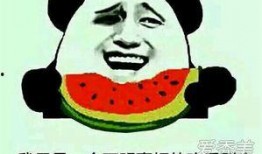 娱乐吃瓜的本质是啥啊,一场全民参与的狂欢盛宴