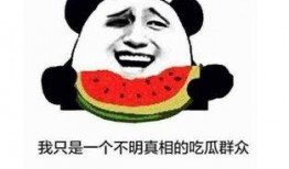 网语吃瓜是什么意思,吃瓜群众的趣味解读